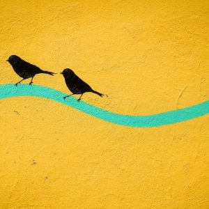 Trauma Focused Therapy