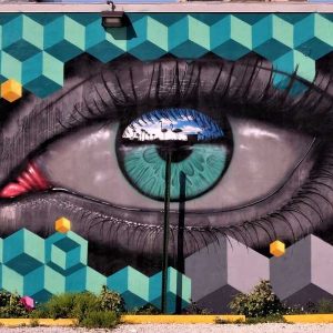 Survivor Liaison Officer