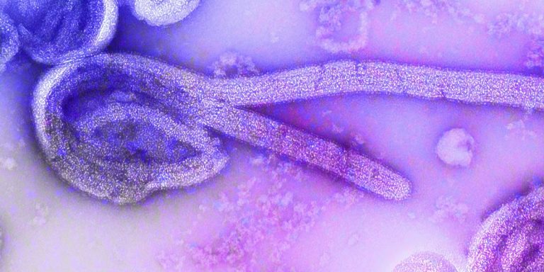 The Ebola Outbreak: A Short Guide To Supporting Your Team